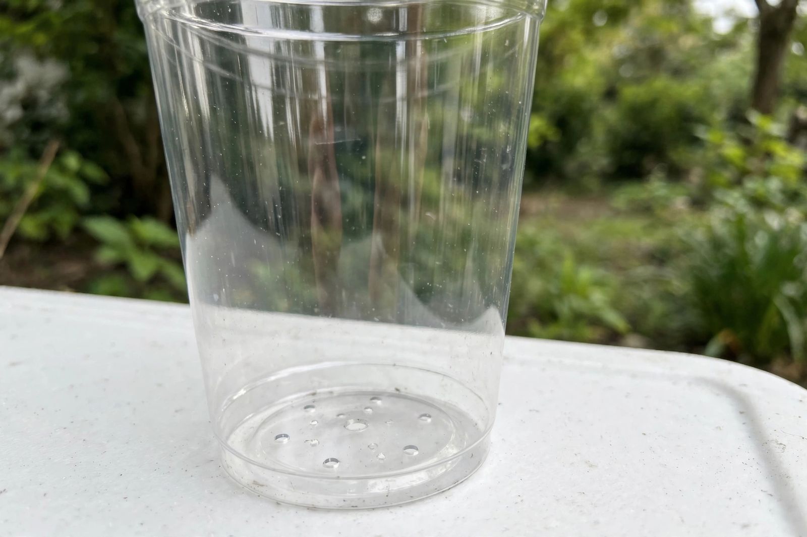 garrafa PET cortada e usada como vaso